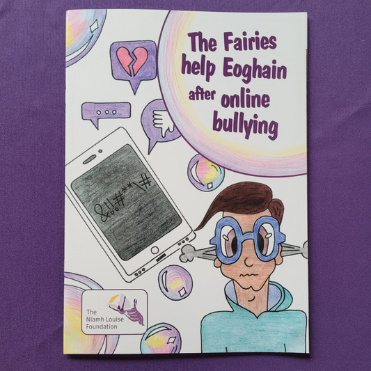The fairies help Eoghain after online bullying